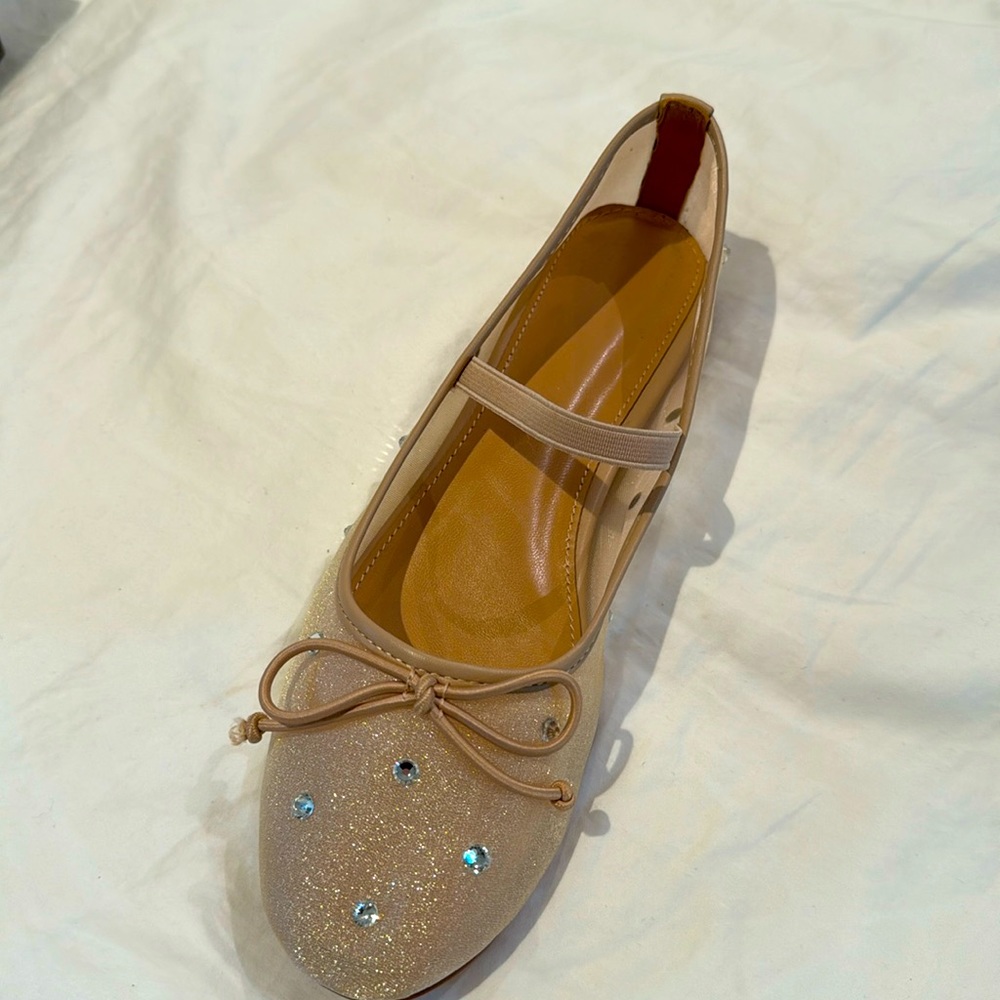 Mesh ballet flats with crystals. NWT. Size 8.5.